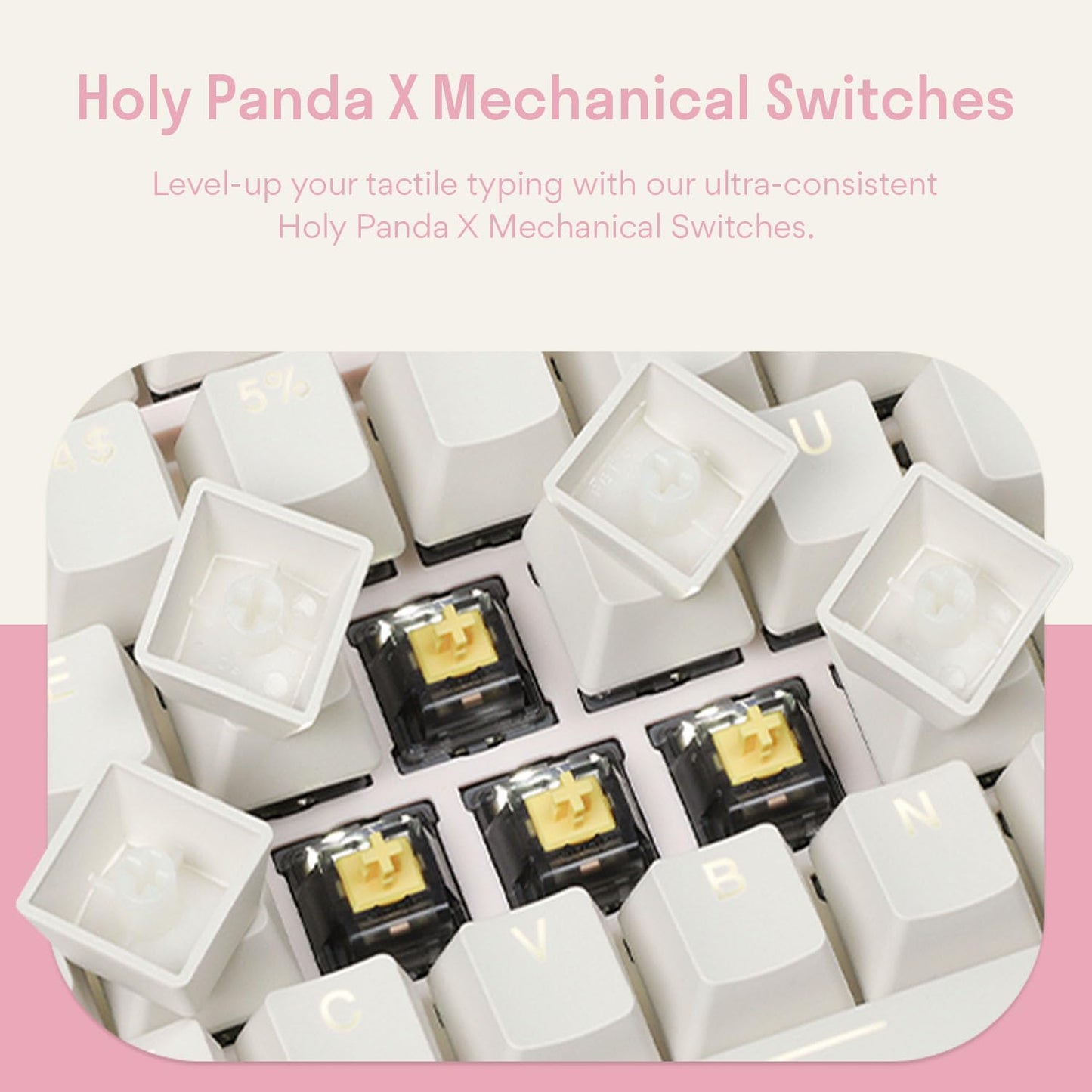DROP Expression Series Keyblossom TKL Mechanical Keyboard - Holy Panda X Tactile Switches - PBT Double-Shot Keycaps - LED Backlight - Pink