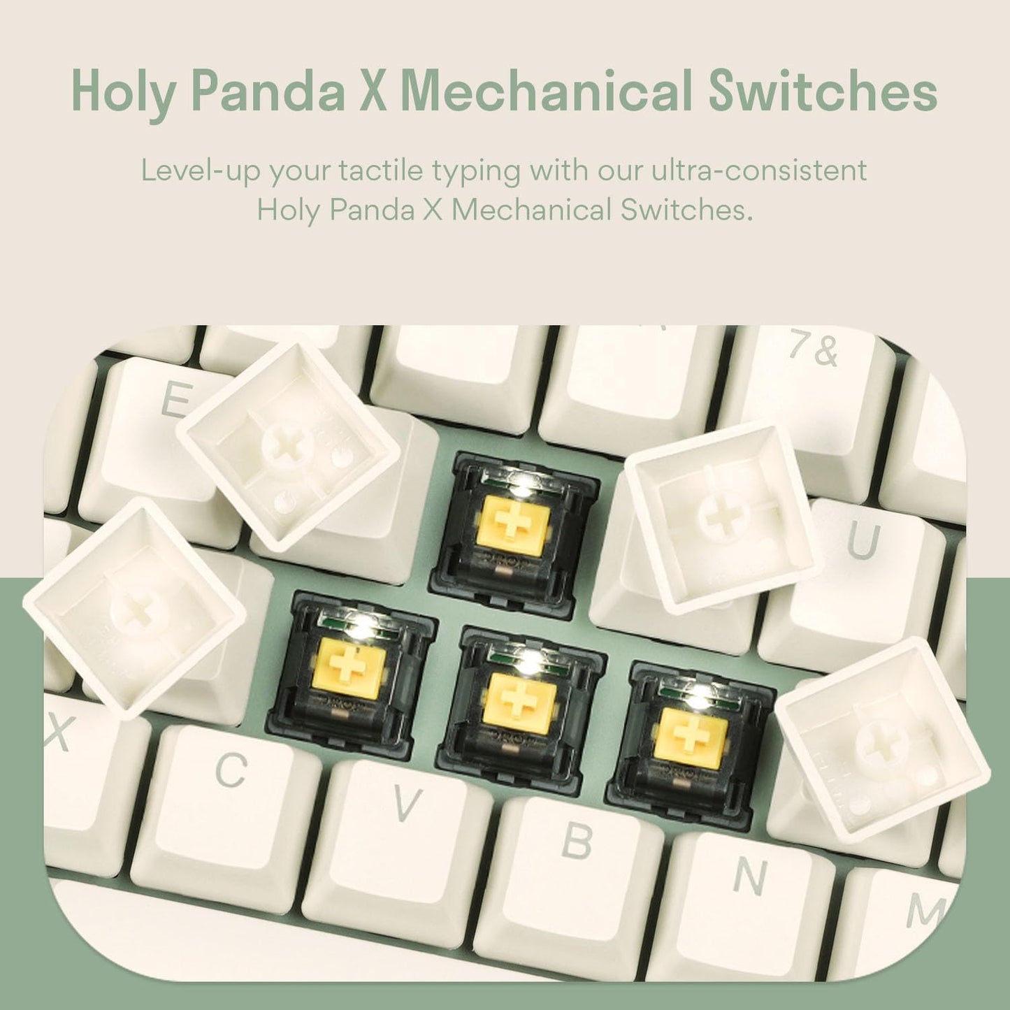 DROP Expression Series Shinai TKL Mechanical Keyboard - Holy Panda X Tactile Switches - PBT Double-Shot Keycaps - LED Backlight - Green