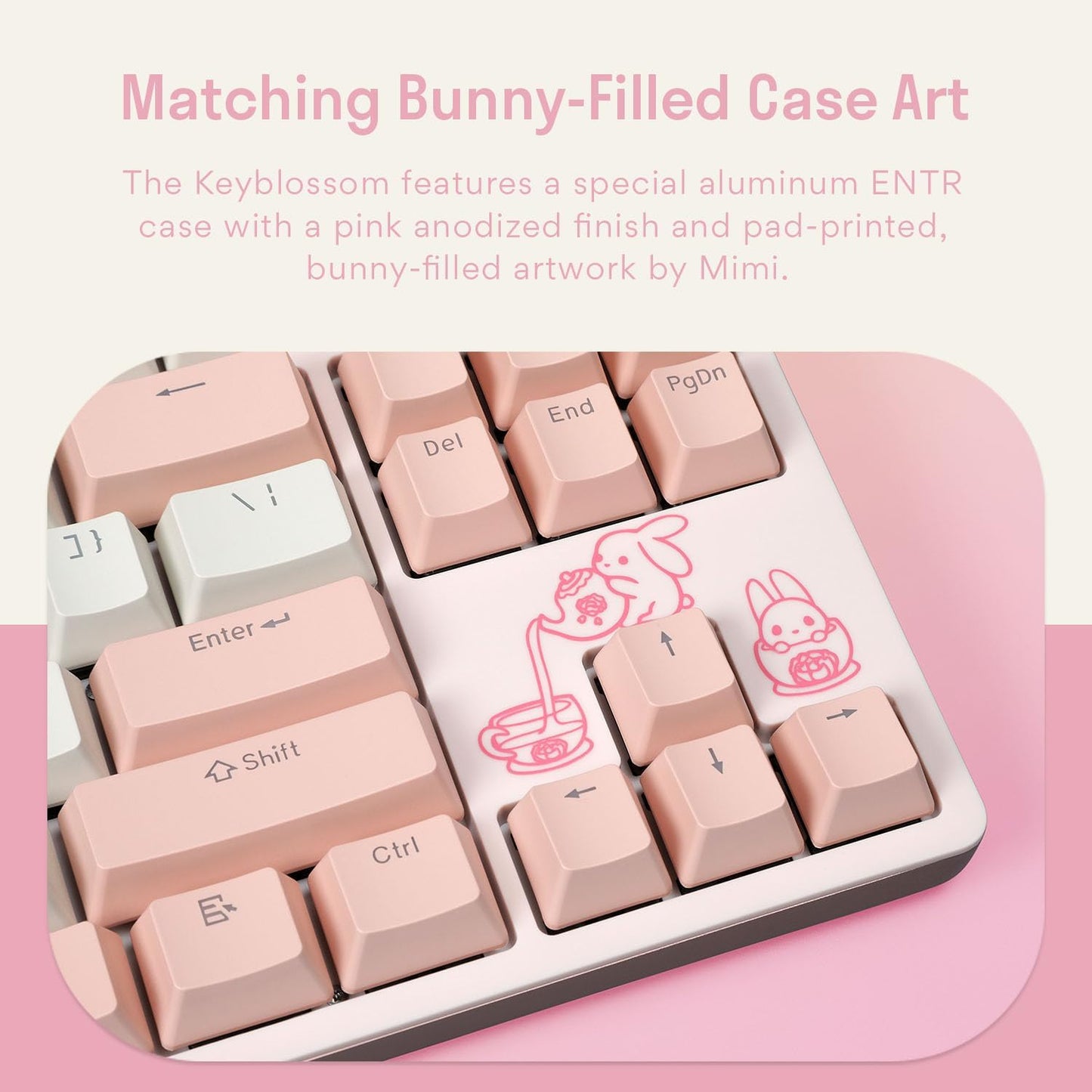 DROP Expression Series Keyblossom TKL Mechanical Keyboard - Holy Panda X Tactile Switches - PBT Double-Shot Keycaps - LED Backlight - Pink