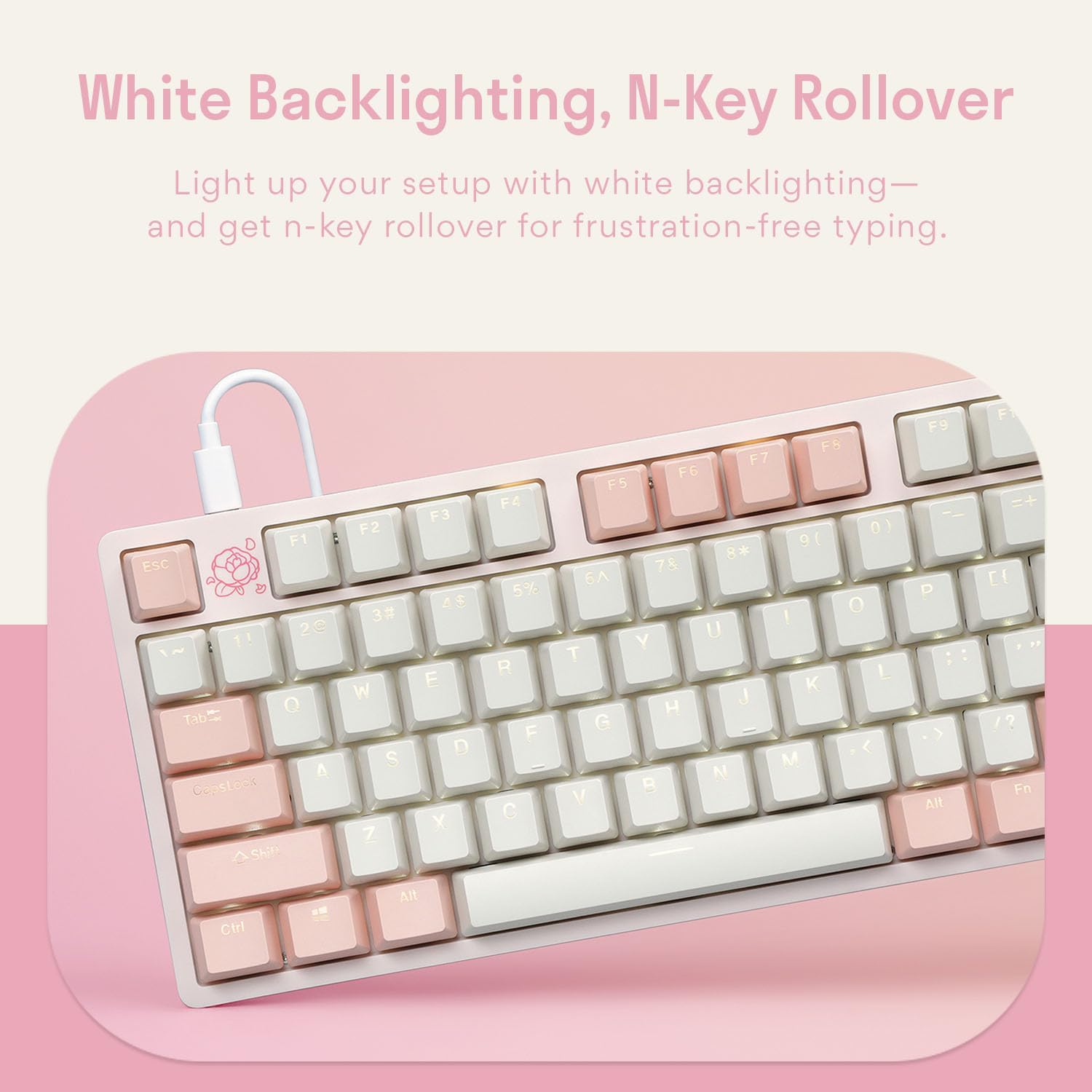 DROP Expression Series Keyblossom TKL Mechanical Keyboard - Holy Panda X Tactile Switches - PBT Double-Shot Keycaps - LED Backlight - Pink